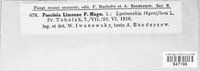 Image Associated With the Occurrence